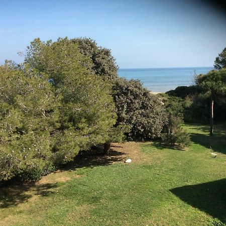 Entre Mer Et Piscine Hyeres Ngoại thất bức ảnh