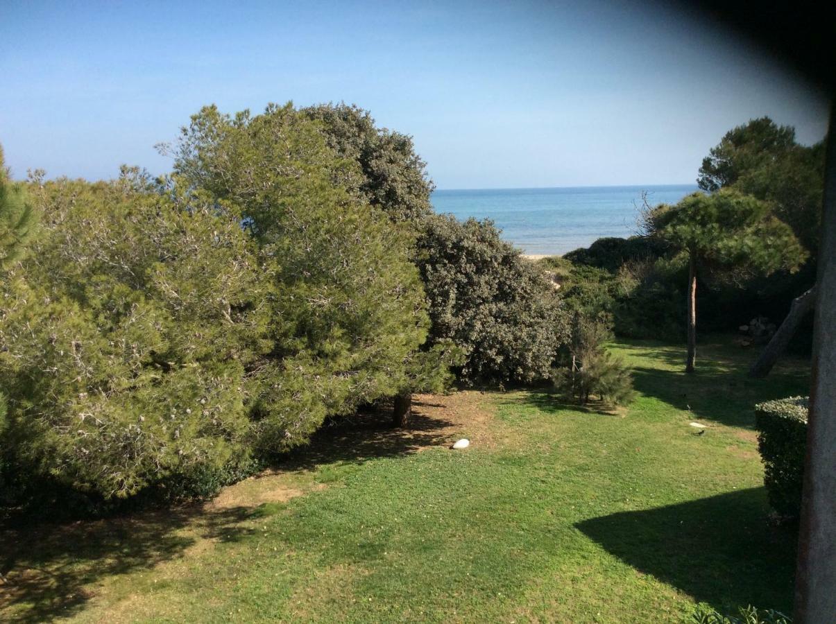 Entre Mer Et Piscine Hyeres Ngoại thất bức ảnh